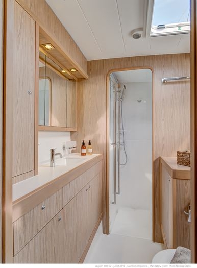 Owner's bathroom