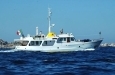 De Vries 63' Navetta