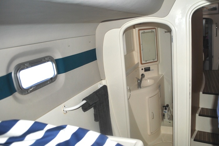 Leopard 45 for sale