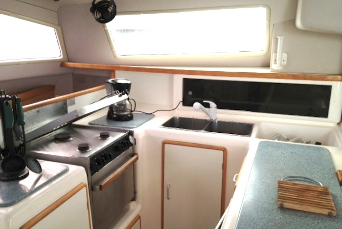 Leopard 45 for sale